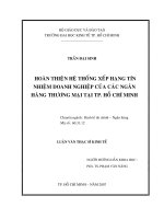 Hoàn thiện hệ thống xếp hạng tín nhiệm Doanh Nghiệp của các Ngân Hàng Thương mại tại TP Hồ Chí Minh.doc