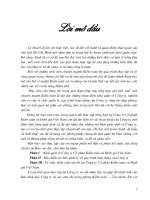 Tổ chức kiểm soát nội bộ tại Công ty Cổ phần Kiểm toán và Định giá Việt Nam.DOC