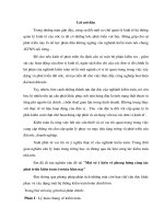 Phương hướng phát triển công tác kiểm toán ở nước ta hiện nay.doc