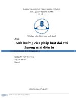 Ảnh hưởng của pháp luật đối với thương mại điện tử.docx