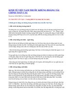 KINH TẾ VIỆT NAM TRƯỚC KHỦNG HOẢNG TÀI CHÍNH TO.doc
