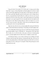 Thực trạng hoạt động sản xuất kinh doanh của công ty Công Ty TNHH Đầu Tư- Thương Mại và Sản   Xuất Thiên Phú.DOC