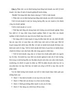 Phân tích vai trò định hướng hoạt động kinh doanh của triết lý kinh doanh. Lấy thực tế một số doanh nghiệp để minh chứng.DOC