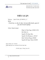 Trình bày cơ cấu tổ chức, bộ máy điều hành, quản lý của một Doanh nghiệp.doc