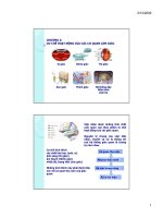 Food Sensory- S2-Perception.pdf