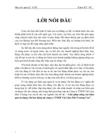 Giải pháp nâng cao hiệu quả sử dụng vốn lưu động tại công ty TNHH Vật Liệu Mới Trương Cao.docx