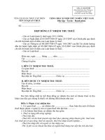 HỢP ĐỒNG UỶ NHIỆM THU THUẾ