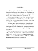 Giải pháp thực hiện kế hoạch kinh doanh của công ty TNHH NN một thành viên XNK và đầu tư Hà Nội giai đoạn 2008-2010 .DOC