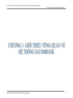 Giới thiệu tổng quan về hệ thống Sacombank.doc