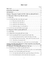 Thực trạng đầu tư trực tiếp nước ngoài vào lĩnh vực phân phối bán lẻ của Việt Nam 2005-2009.doc