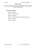 Một số giải pháp phát triển hệ thống nông nghiệp vùng tây nguyên.doc