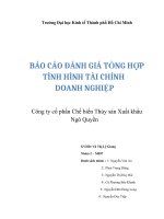 BÁO CÁO ĐÁNH GIÁ TỔNG HỢP TÌNH HÌNH TÀI CHÍNH DOANH NGHIỆP Công ty cổ phần Chế biến Thủy sản Xuất khẩu Ngô Quyền.doc