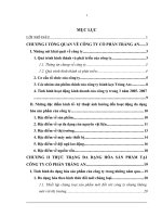 Đa dạng hóa sản phẩm tại công ty cổ phần Tràng An.DOC