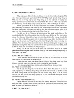 Mô hình cty tài chính trong tổng cty NN 