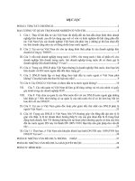 ĐẠI CƯƠNG VỀ QUẢN TRỊ DOANH NGHIỆP CÓ VỐN FDI.DOC