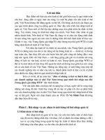 Bàn về những cơ hội và thách thức của các doanh nghiệp vừa và nhỏ Việt Nam trong quá trình hội nhập sau khi Trung Quốc gia nhập WTO.doc.DOC