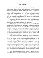 Vận dụng mô hình chiến lược Portfolio (BCG) trong công tác hoạch định chiến lược tại công ty TNHH thương mại Mỹ Đức.docx