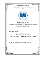 Đo lường rủi ro thị trường tài chính ở Việt Nam.pdf