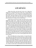 Tín dụng thuê mua ở Việt Nam và việc áp dụng trong ngành vận tải biển (102trang).doc