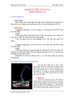 tiểu luận Ngoại vi tiêu cực của khói thuốc lá.doc