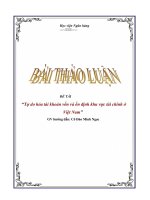 Tự do hóa tài khoản vốn và ổn định khu vực tài chính ở Việt Nam.doc