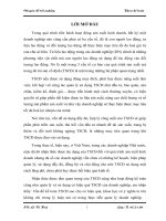 Kế toán tài sản cố định tại công ty TNHH Lâm Nghiệp Văn Bàn.DOC