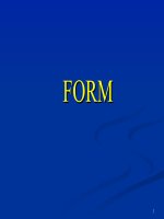 Form trong lập trình