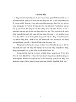 Lịch sử hình thành và quá trình phát triển.DOC