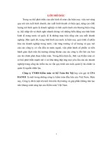 THỰC TRẠNG TỔ CHỨC CÔNG TÁC KIỂM TOÁN TẠI CÔNG TY CPA HANOI.DOC