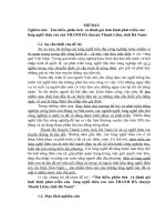 Tìm hiểu, phân tích và đánh giá tình hình phát triển của làng nghề thêu ren của THANH HÀ (huyện Thanh Liêm, tỉnh Hà Nam).doc