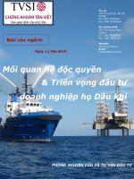 Mối quan hệ độc quyền & Triển vọng đầu tư doanh nghiệp họ Dầu khí.pdf