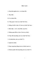 Thực tiễn hoạt động cứu trợ xã hội Việt Nam.DOC