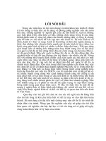 cơ sở lý thuyết của quá trình cổ phần hoá.DOC