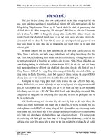 Giải pháp nhằm hình thành những điều kiện cơ bản cho một đồng Tiền chung ASEAN và các vấn đề của Việt nam .doc