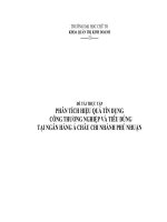 phân tích hiệu quả tín dụng Công thương nghiệp và Tiêu dùng tại Ngân hàng Á Châu chi nhánh Phú Nhuận.doc