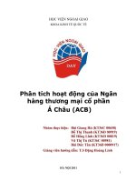 Phân tích hoạt động của ngân hàng Á Châu (ACB) năm 2010.doc