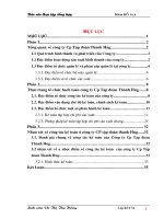 Báo cáo thực tập tại công ty CP tập đoàn thành Hưng.DOC