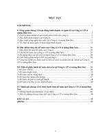 Tổng quan chung về hoạt động kinh doanh và quản lý tại Công ty CP xi măng Bỉm Sơn.doc