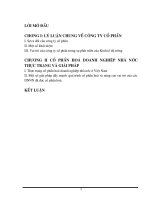 Cổ phần hoá DNNN quá trình 10 năm phát triển và vai trò của nó trong sự phát triển kinh tế.DOC