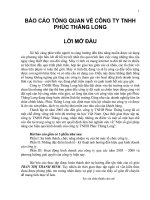 Một số giải pháp nâng cao hiệu quả kinh doanh của công ty TNHH Phúc Thăng Long.doc