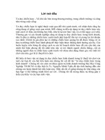 Chiến lược kinh doanh quốc tế của P&G.doc