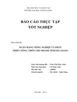 NGÂN HÀNG NÔNG NGHIỆP VÀ PHÁT TRIỂN NÔNG THÔN CHI NHÁNH TỈNH HÀ GIANG.doc