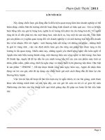 Chiến lược yểm trợ, đẩy mạnh, kích thích tiêu thụ sản phẩm (2).doc