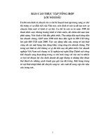 Khái quát chung và cơ cấu tổ chức của Xí nghiệp mỹ nghệ Hợp Thịnh.DOC