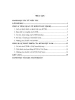 Sự phát triển của KTNBVN và những yêu cầu đối với KTNB chuyên nghiệp.DOC