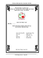 PHÂN TÍCH HOẠT ĐỘNG SINH LỜI TẠI ngân hàng Thương Mại.doc