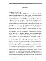 Phân tích hiệu quả sản xuất dâu Hạ Châu ở huyện Phong Điền TP Cần Thơ.doc