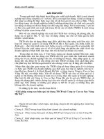 KT TSCĐ tại cty Cao su Sao Vàng