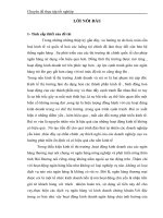 Giải pháp phòng ngừa và hạn chế rủi ro tín dụng trong hoạt động kinh doanh tại chi nhánh NHNN&PTNT tỉnh Hải Dương.docx