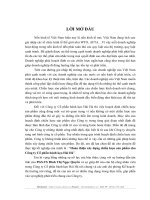 Hoàn thiện xây dựng chiến lược sản phẩm cho Công ty Cổ phần bánh kẹo Hải Hà.DOC